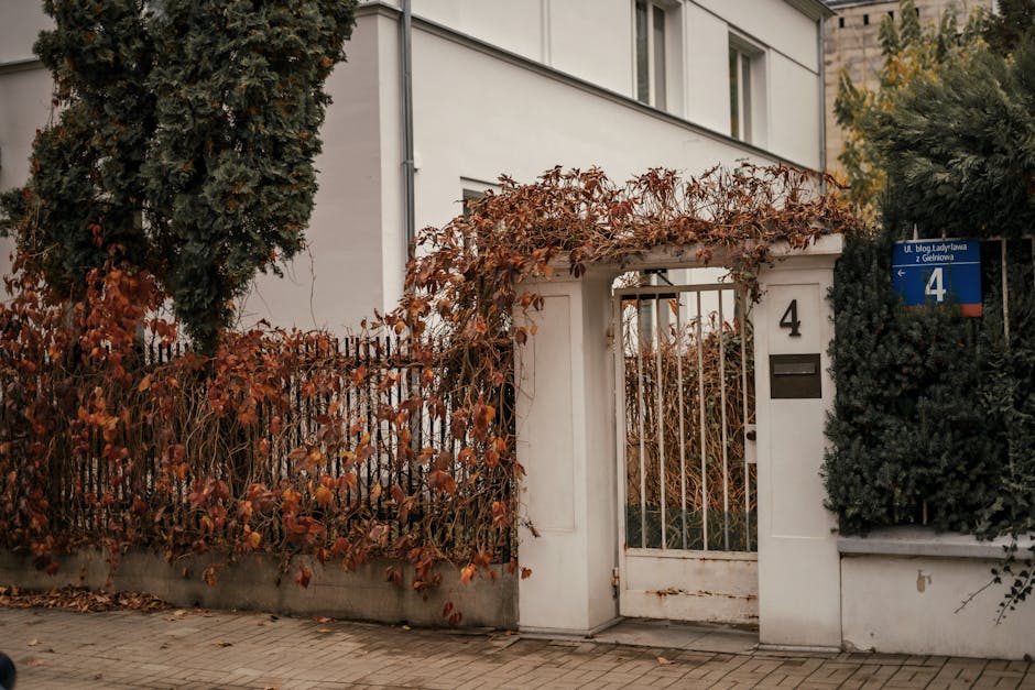 Map showing insurance agent locations and professional advisors